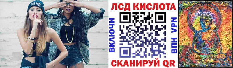 купить наркоту  даркнет телеграм  Марки N-bome 1500мкг  Пушкино 